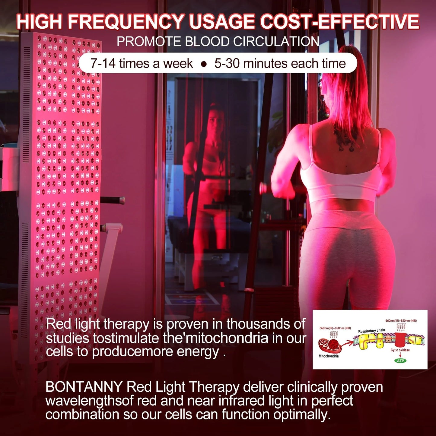 Red Light Therapy Device with Stand - Fixed-Angle Pro Series Professional Edition | Horizontal & Vertical Dual-Mode Stable Base